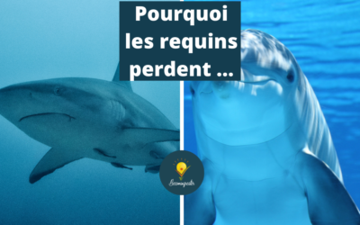 Pourquoi les requins de la vente perdent face aux dauphins