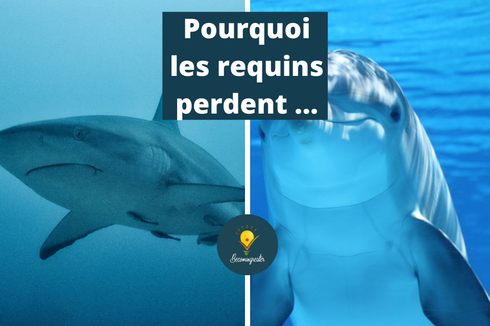 Pourquoi les requins de la vente perdent face aux dauphins